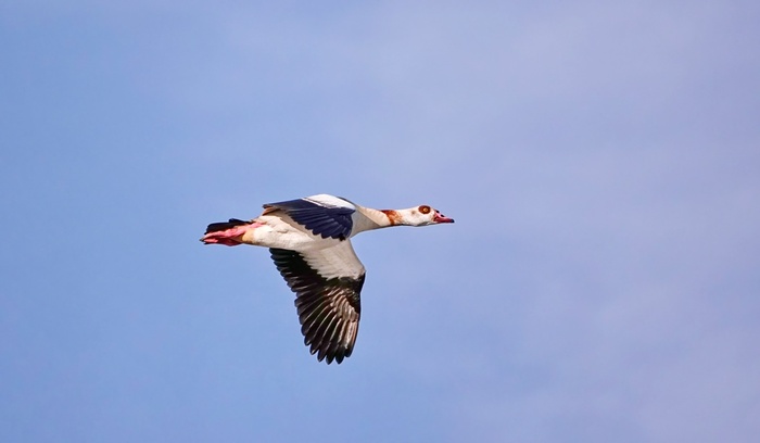 �������� ���� �����