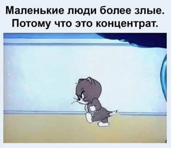 ogkfkwv7.webp