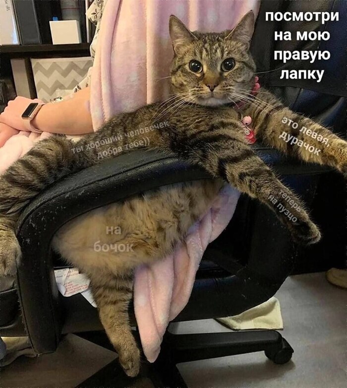  !   , , , 