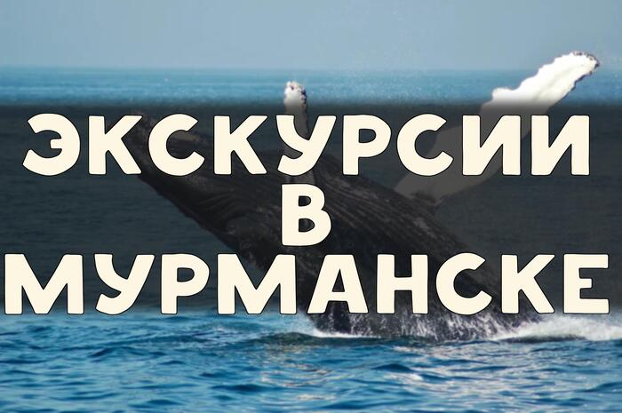 -15   :       , ,  ,  , , 