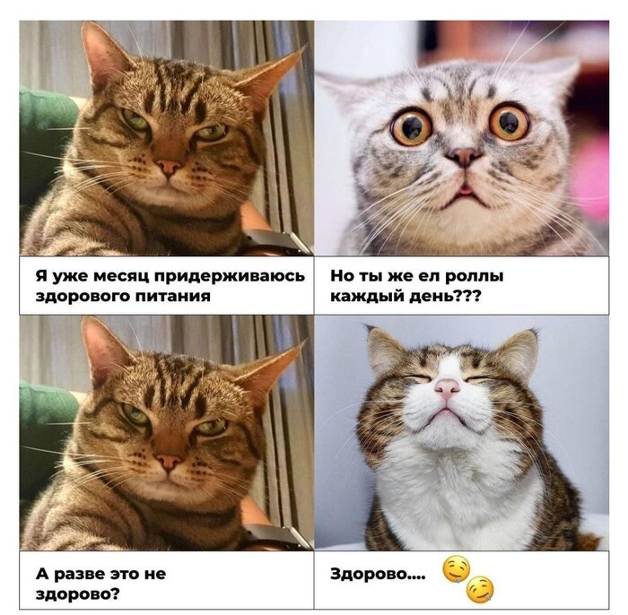  )