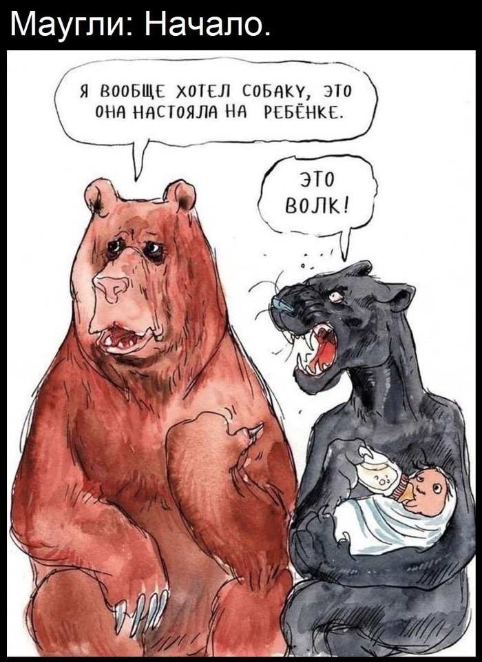     , , , , , ,   , 