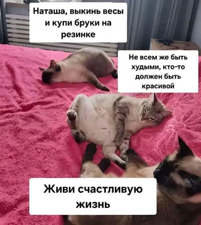  , , ,   ,  