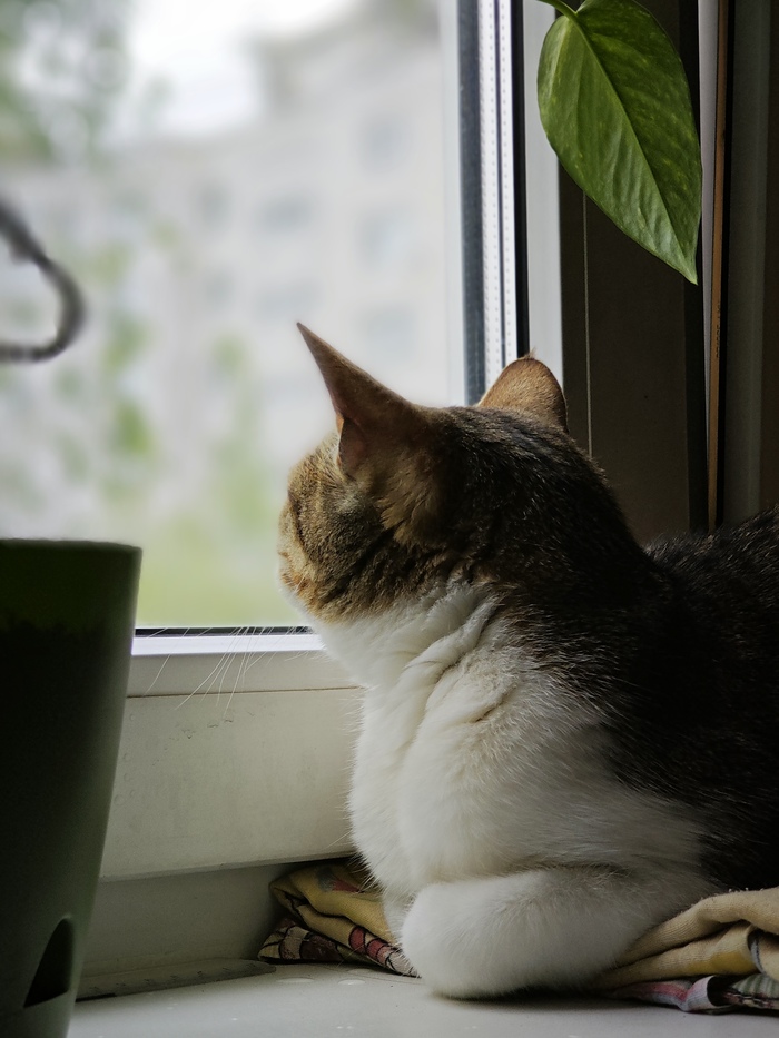      ,   ,  , , , , , , 