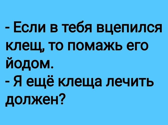  ,    ,   , , Telegram ()
