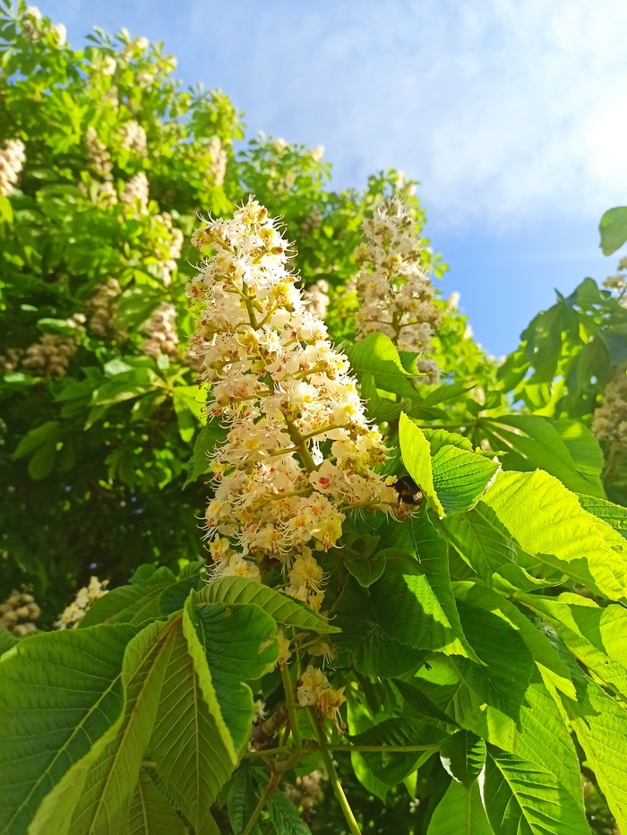    ,   , ,  , , , 