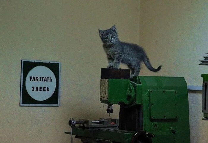 ������� ���������