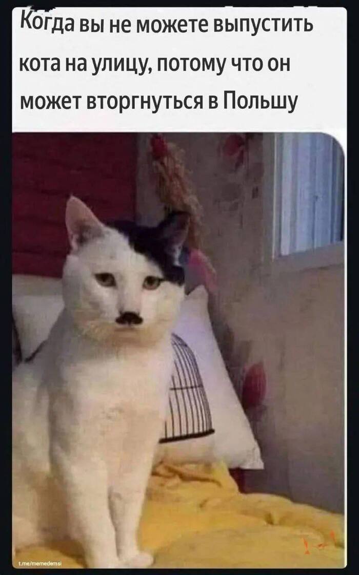       ,   , ,  , , 