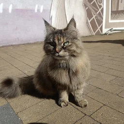Koska.Lorderonna