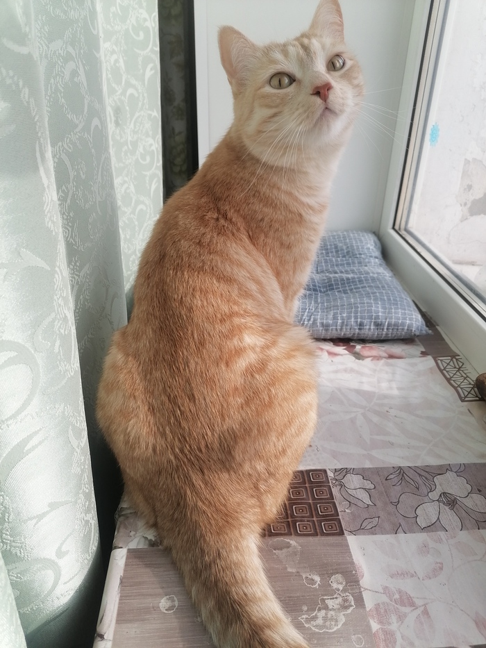     , , ,  , 