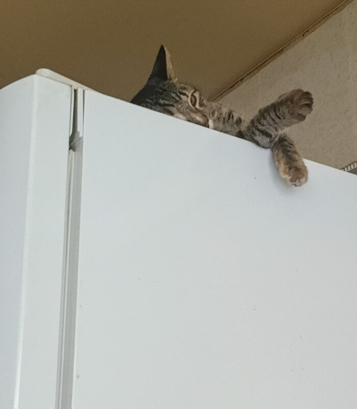   , , , ,  , 