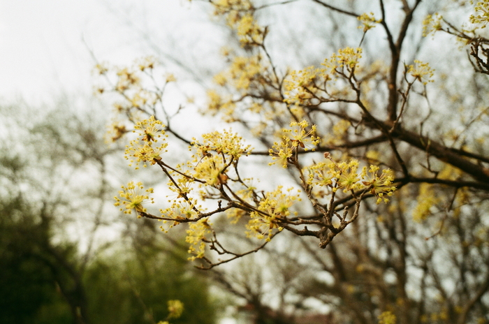 Fuji Industrial 100 (просрочка)