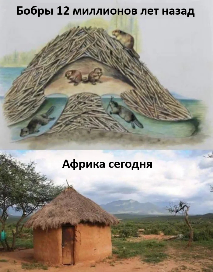    ,   , , 