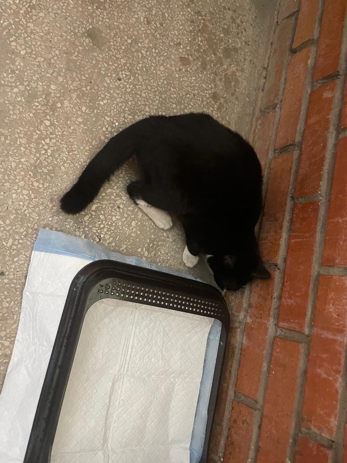 .        , , ,  ,  ,  ,  , , ,  , ,  , 