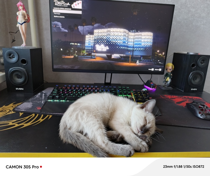    ,  , GTA 5