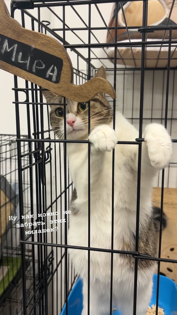      , -, ,  , , ,  ,  ,  , 