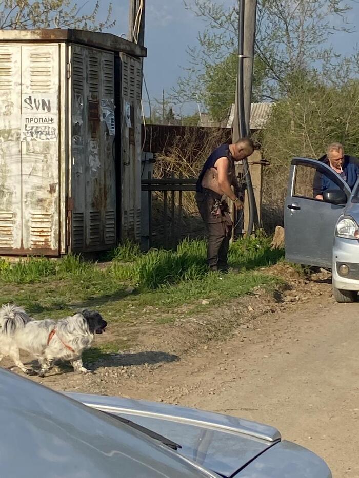 ������������ ��������