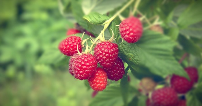 ������ 2-3 ������ � ����� ��� ������� ������, ����� ��������� � ������� ����: ������ ����� ��������