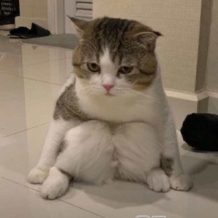  .  ! ,  , , ,  , , ,  