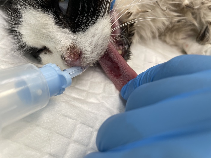 � ����� � �����