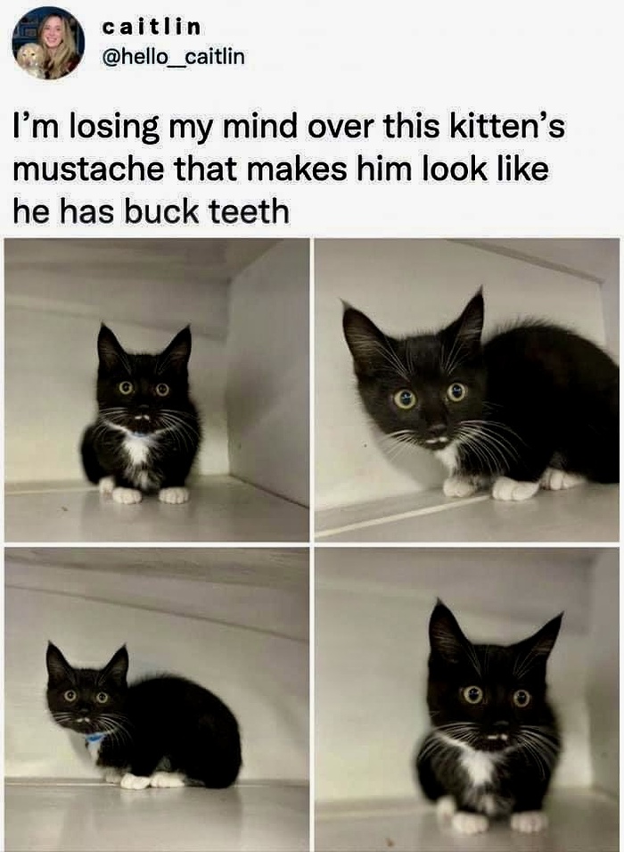  ? , , 
