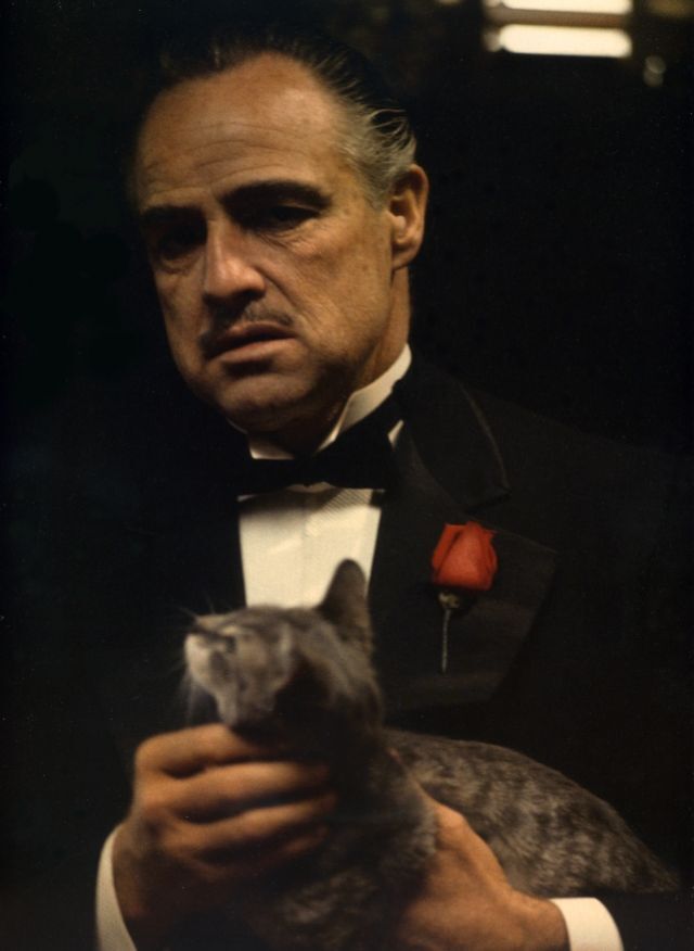 Марлон Брандо на съемках фильма "Крестный отец", Нью-Йорк, 1971 г.