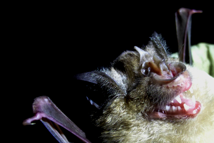      .     70 !        -.