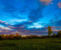 ����������