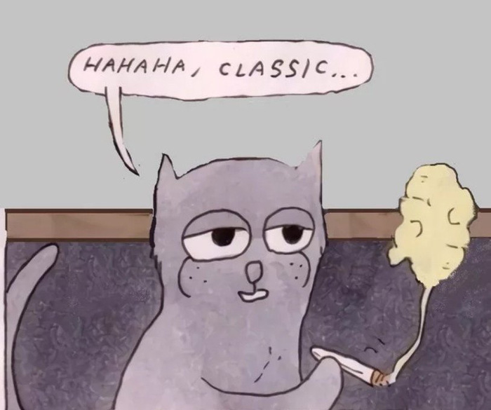    , ,    .    , , , , ,   ,  