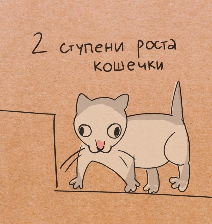 2    , , , , , , 