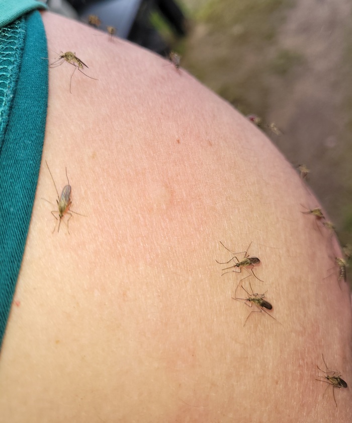 �������, ������!!!