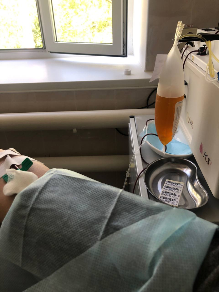 Процесс сдачи