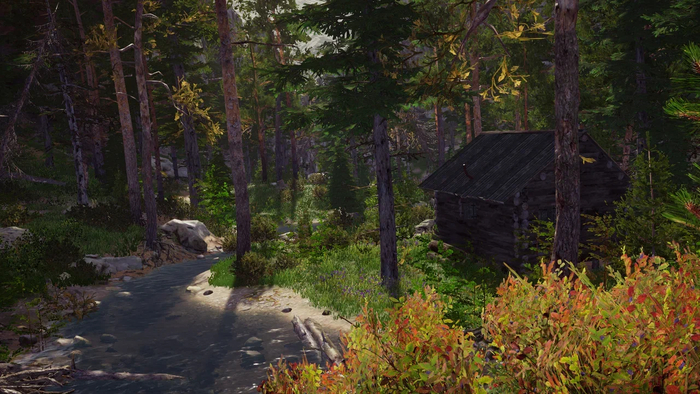 ������ ����� � ��� �����!