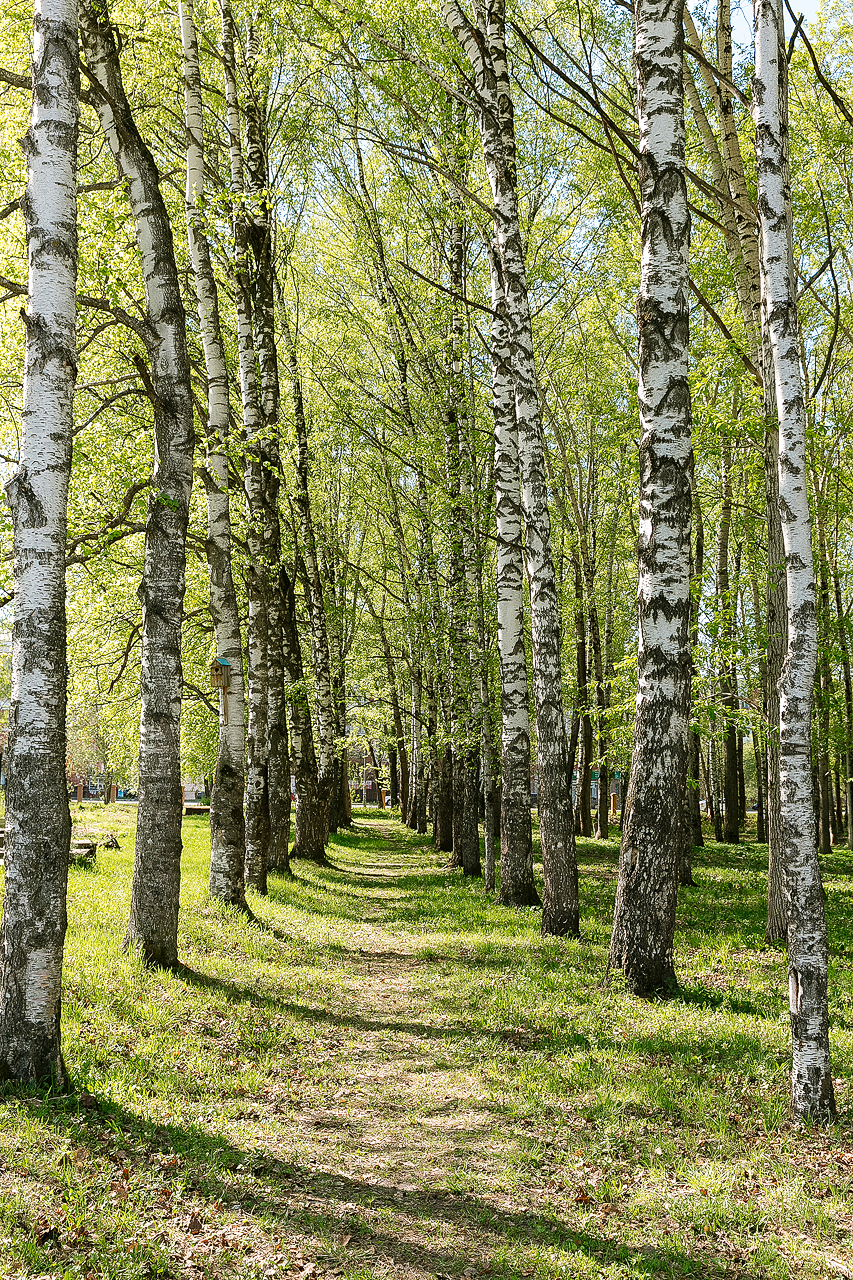 Березники жезөкшелері Березники жезөкшелері