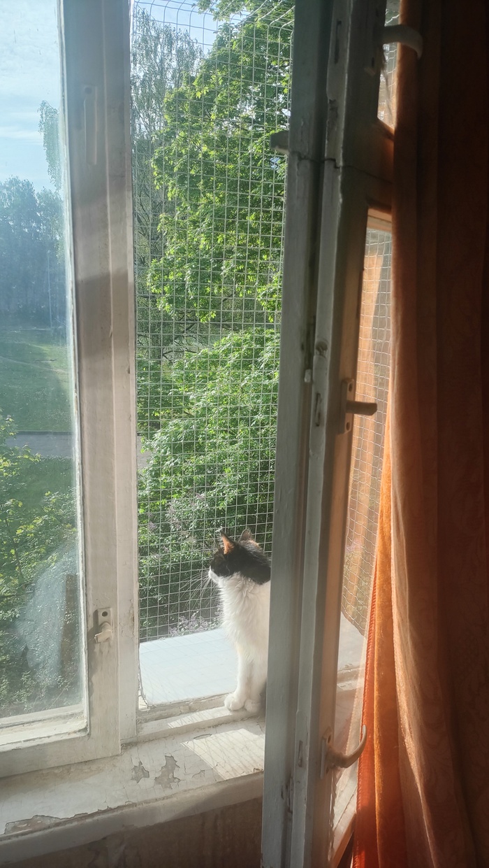 Более масштабный. Из сетки. //варить сетку непросто. Но, получилось;))