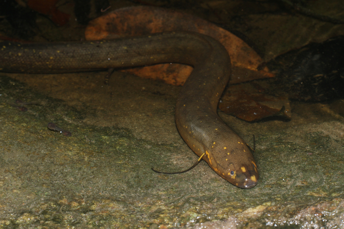 Не нужно меня в воду нести! Я хочу свежим воздухом подышать!