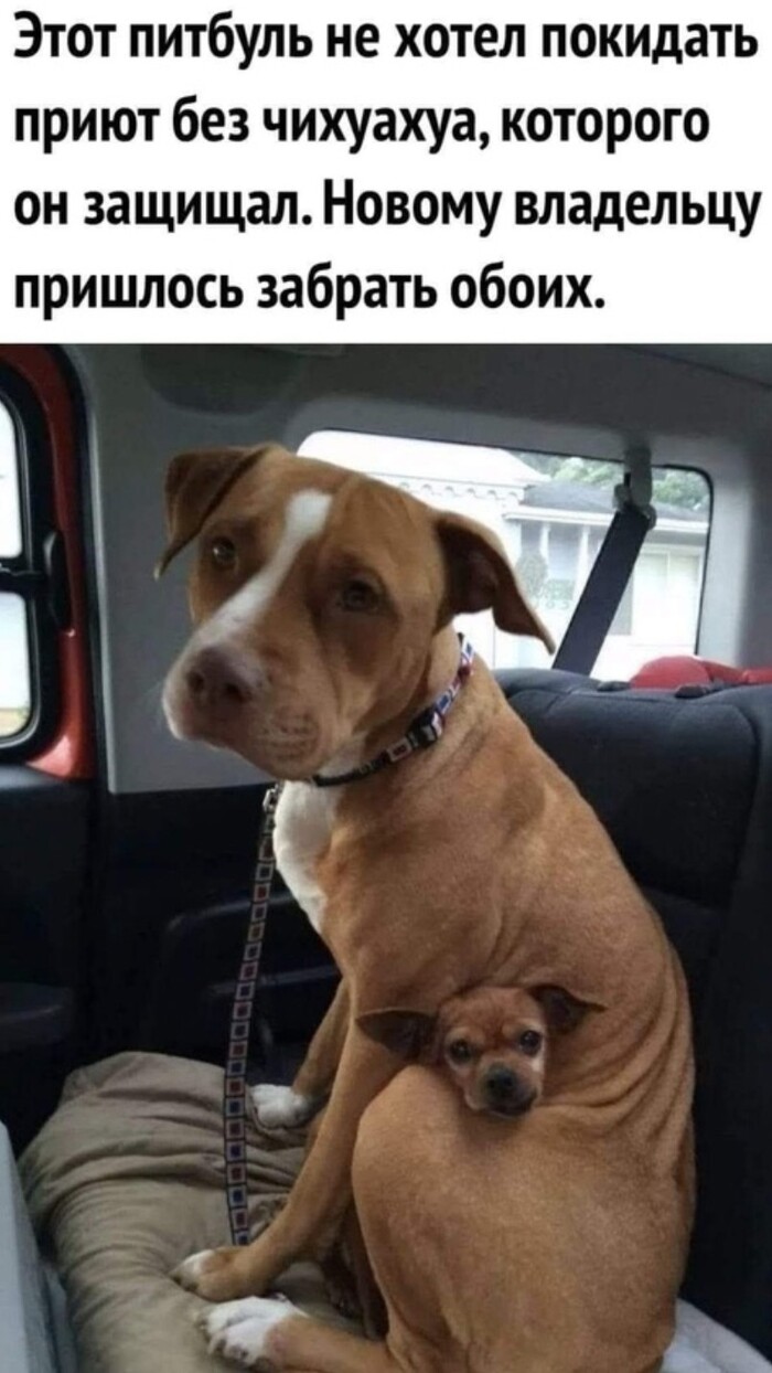    , ,    ,   ,   , 