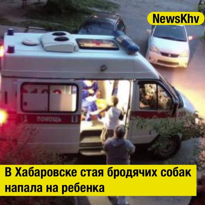        ,  , ,  , , ,  ,  , ,  ,  , Telegram (), 