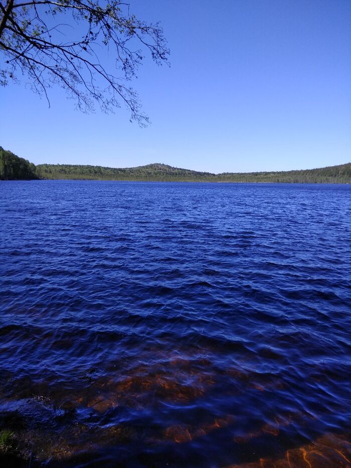 ����� ��������. ����: ���� ���� � ���� ���