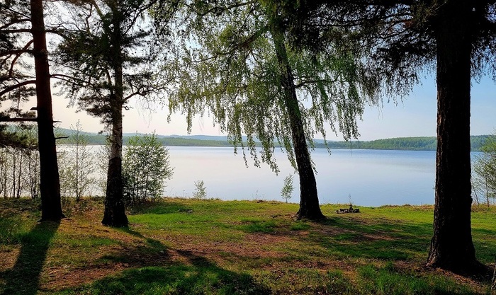 ��������. ����� �������. ����: ������ ���������