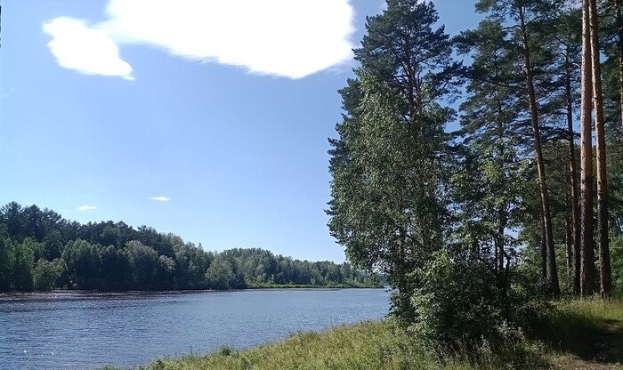 ����������������� ������������� (���������). ����: ���� ���� � ���� ���