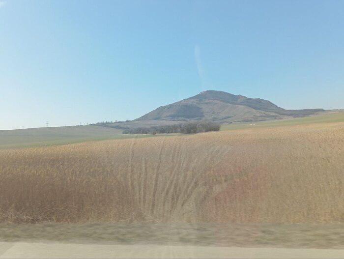Barrens? ,   , , , , World of Warcraft, ,   ,  , 