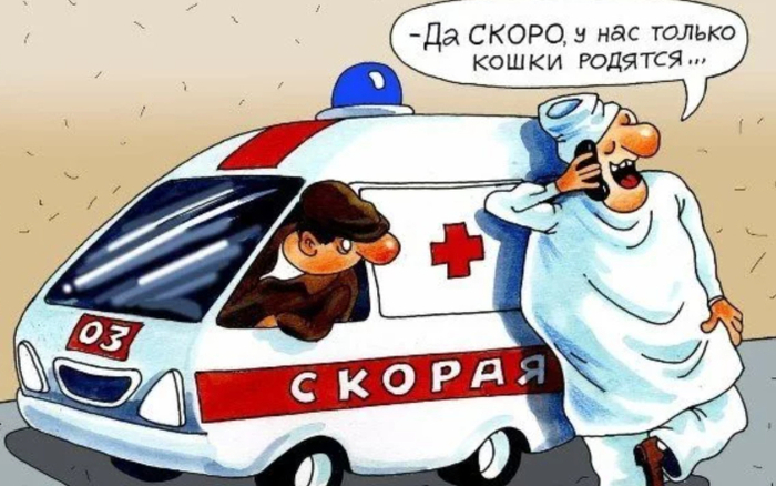     ,      /      , , ,  , , , , , , ,   , Telegram ()