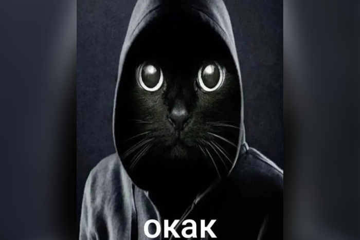          , , , , , 