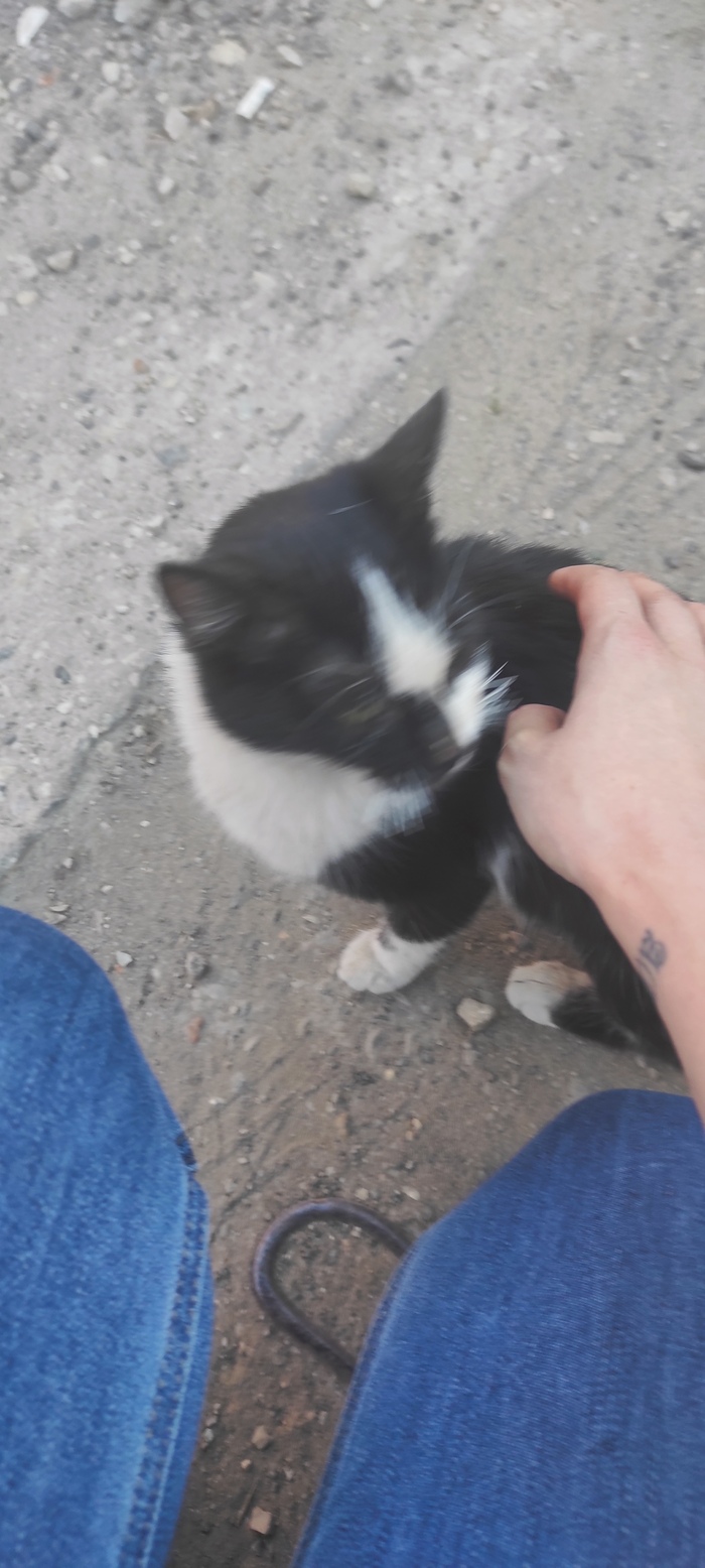    , , , , , 
