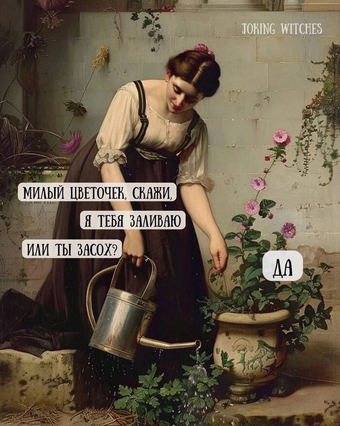 Фикус наш приятель