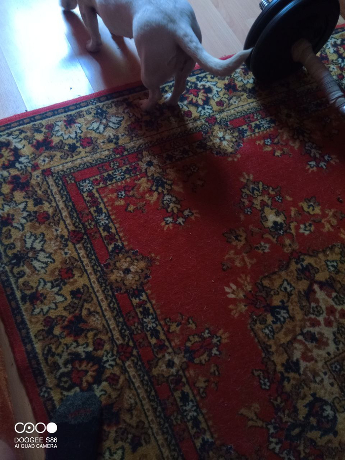    , , --, , , 