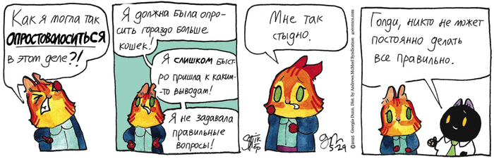 Котейкины Новости от 29.05.2025