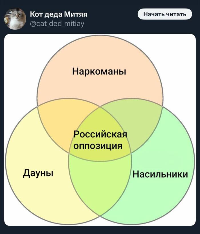    , , , , , X (Twitter), 