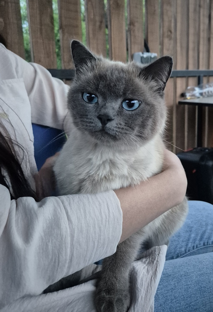 ��������� �� ���� ��� ������ ��������